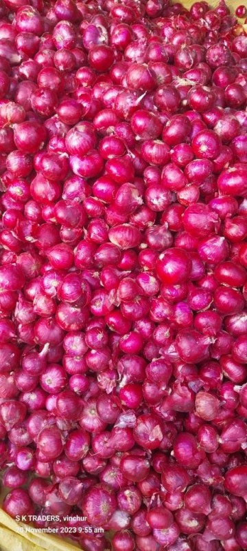 Red Onion from India